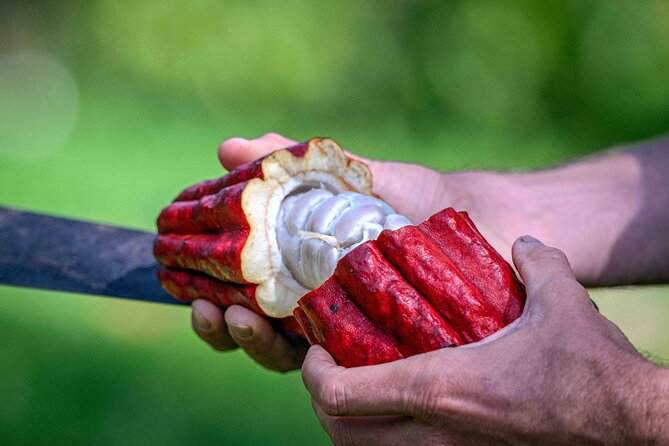 Craft Chocolate Tasting and Farm Experience on the Big Island - Why this Big Island chocolate tour is worth your time
