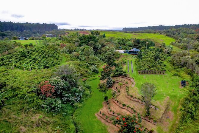 Craft Chocolate Tasting and Farm Experience on the Big Island - From ancient Mesoamerica to Hawaiian craft chocolate
