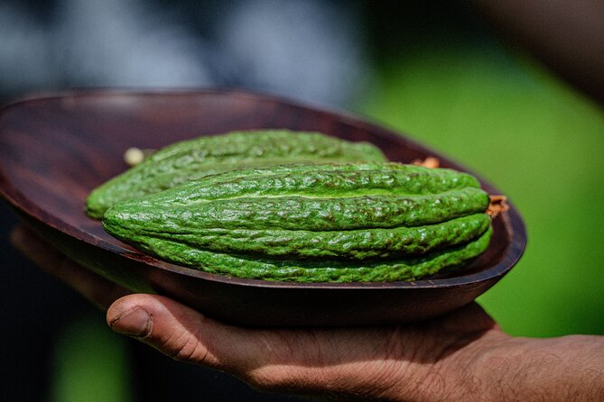 Craft Chocolate Tasting and Farm Experience on the Big Island - The tasting goes far beyond chocolate bars