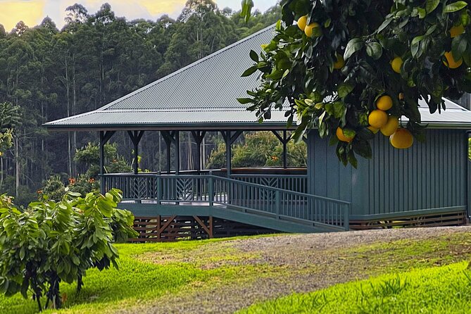 Craft Chocolate Tasting and Farm Experience on the Big Island - Is $135 a fair price?