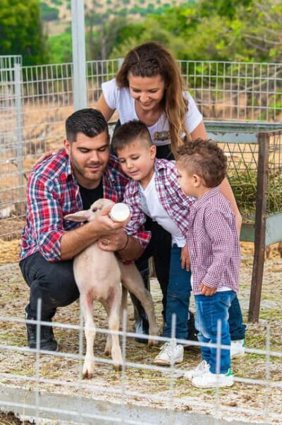 Farm Visit with Cheese Tasting and Milking Experience