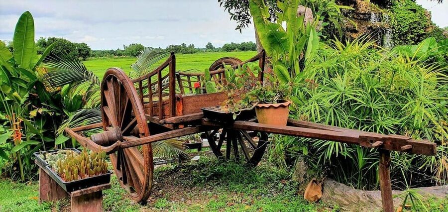 Cultural immersion: Thai cooking, rice farming, eco printing - Fruit trees, Miang Kham, and leaf printing