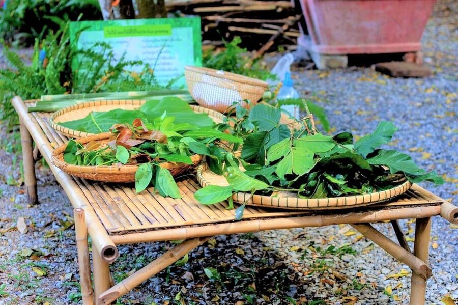 Cultural immersion: Thai cooking, rice farming, eco printing - Starting with local food at Nakhon Nayok market
