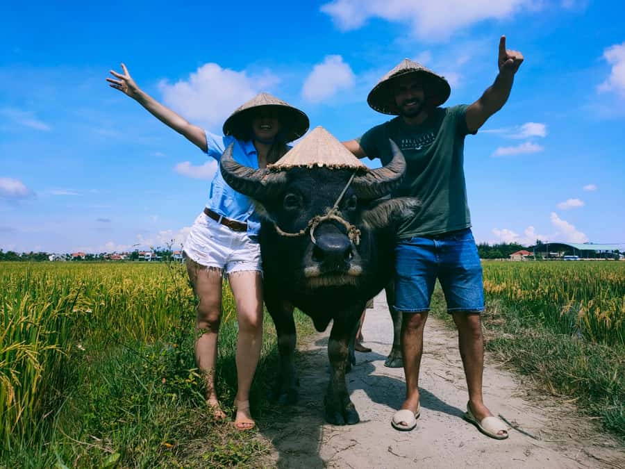 Cycling, Water Buffalo Riding, Traditional Farming Life - Key points at a glance