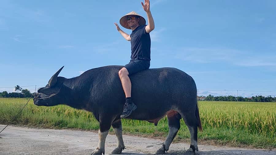 Cycling, Water Buffalo Riding, Traditional Farming Life - Why Cam Thanh makes a good half-day escape