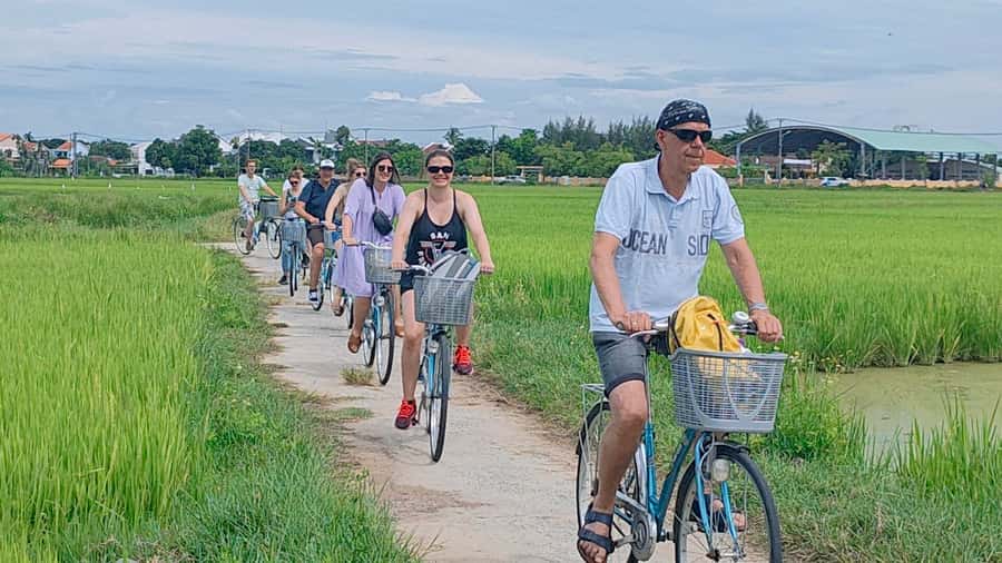 Cycling, Water Buffalo Riding, Traditional Farming Life - Getting your hands dirty with rice farming