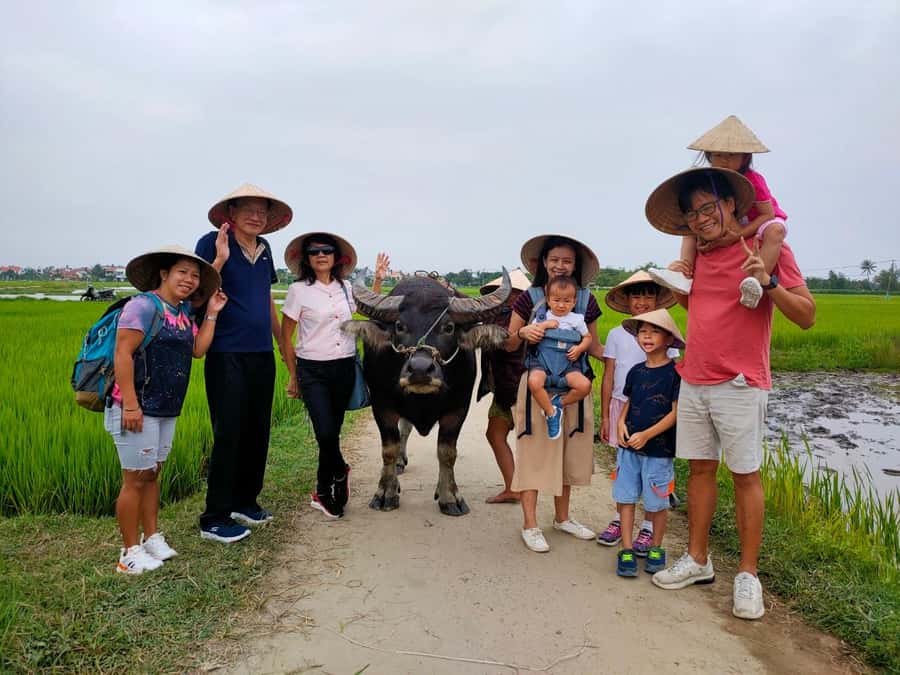 Cycling, Water Buffalo Riding, Traditional Farming Life - Meeting the buffalo, with a practical ethical note
