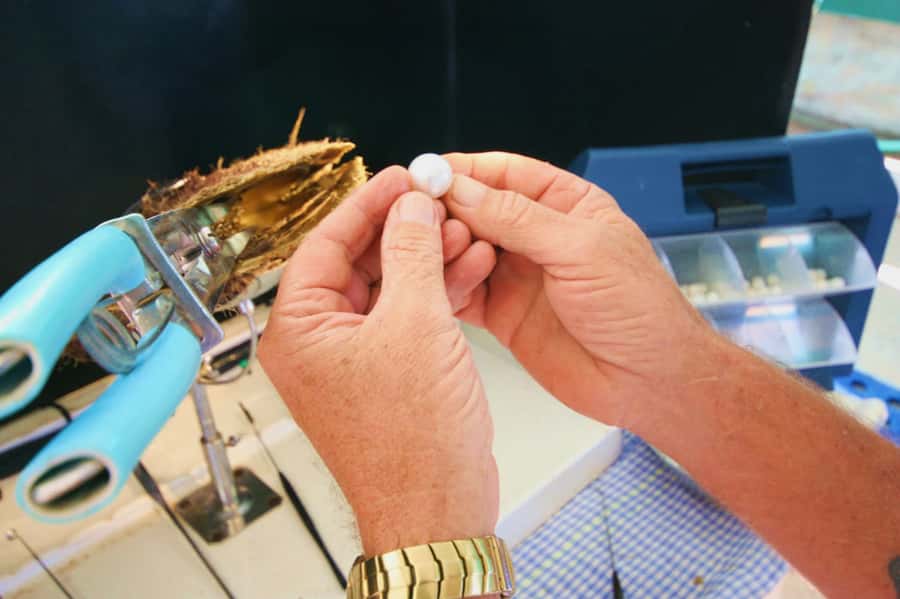 Cygnet Bay Pearl Farm Behind-the-Scenes Tour & Live Harvest - Why Cygnet Bay is worth the long trip from Broome