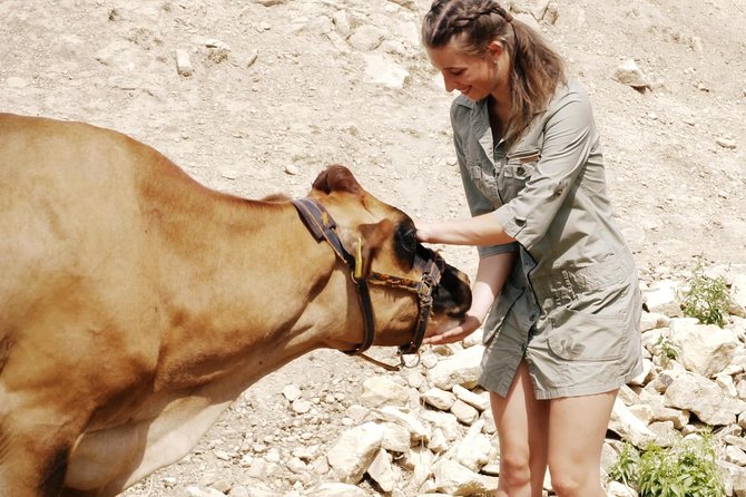 Czech garnet panning, scenic drive, farm & cheese, lunch & beer - Panning for Bohemian garnets