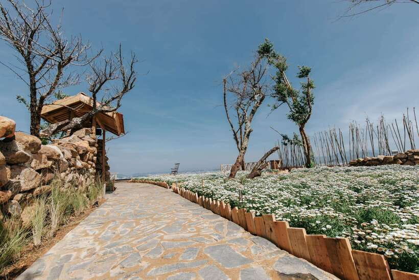 Da Lat: Sunrise Panorama, Green Tea Hill and Strawberry Farm - The early start, group size, and practical comfort
