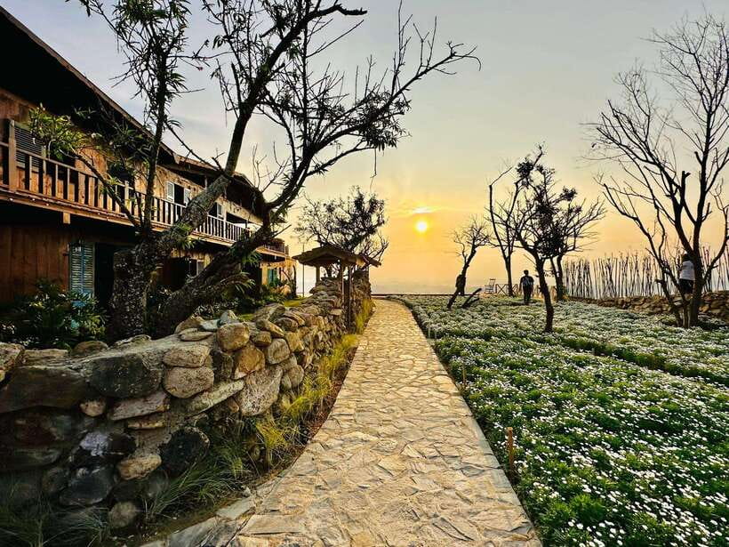 Da Lat: Sunrise Panorama, Green Tea Hill and Strawberry Farm - Tea rows and wind turbines at Cau Dat