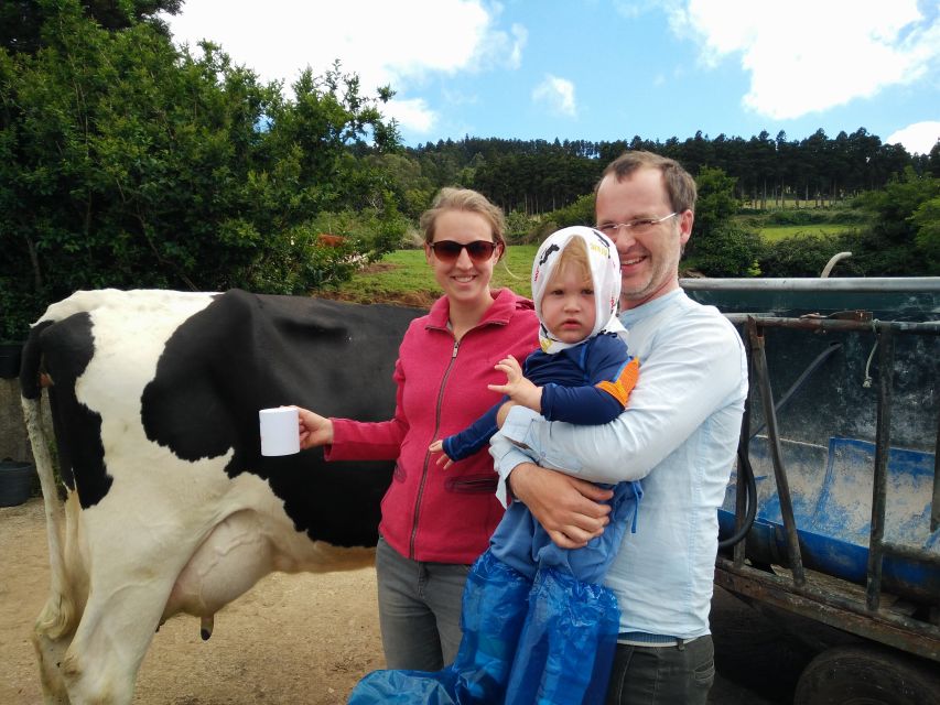 Dairy farm Visit and Cow Milking Experience in Azores - Seeing how milk is collected and stored
