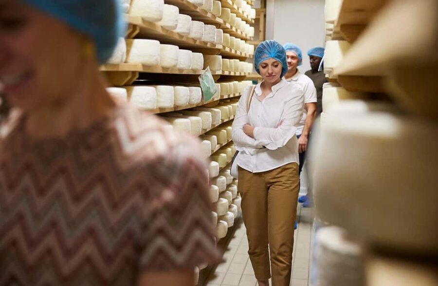 Dairy Tour with Cheese Tasting & Prosecco near Treviso - Key points at a glance