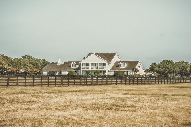 Dallas Southfork Ranch Private Limousine Tour - Lincoln Continental, Longhorns, and Dallas souvenirs