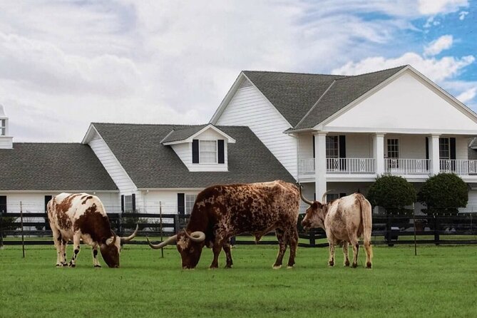 Dallas Southfork Ranch Private Limousine Tour - What the price really covers