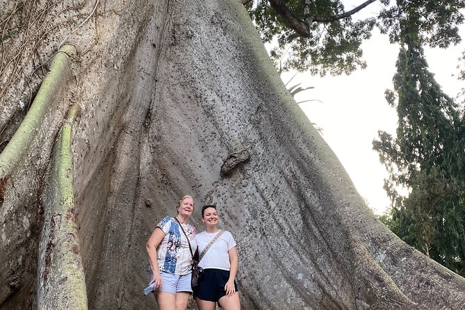 Day Trip Near Accra - Visit Aburi Gardens, Waterfall & Cocoa Farm - Traditional lunch adds value to the half-day price