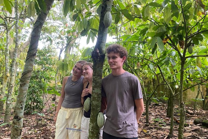 Day Trip Near Accra - Visit Aburi Gardens, Waterfall & Cocoa Farm - Timing, pickup, and the shape of the day