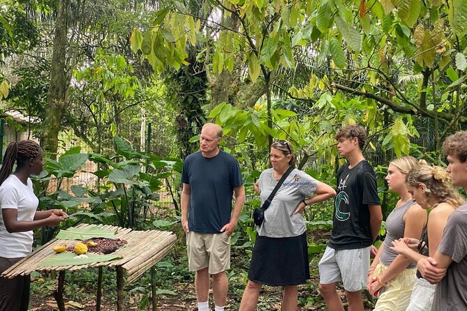 Day Trip Near Accra - Visit Aburi Gardens, Waterfall & Cocoa Farm - Tetteh Quarshie Cocoa Farm: Ghana’s chocolate story begins here