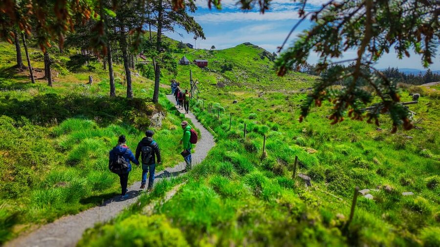 Discover Haugesund and visit a local mountain farmer - The best parts of this Haugesund tour