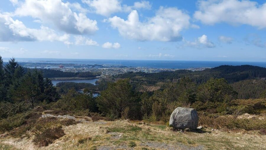 Discover Haugesund and visit a local mountain farmer - Why Kringsjå gives Haugesund a local flavor