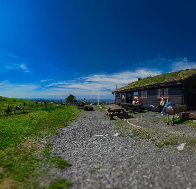 Discover Haugesund and visit a local mountain farmer - From Haugesund Cruisehavn to Steinsfjellet