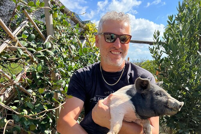 Discover Montepulciano: Cinta Senese Pigs, Lunch & wine in a Farm - Key points to know before you go