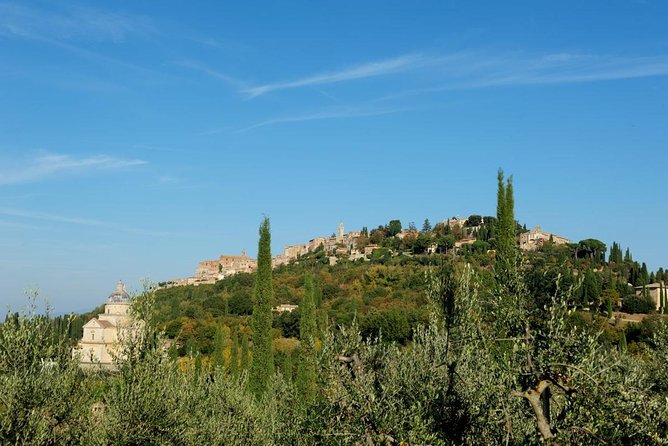 Discover Montepulciano: Cinta Senese Pigs, Lunch & wine in a Farm - A farm visit with more personality than polish
