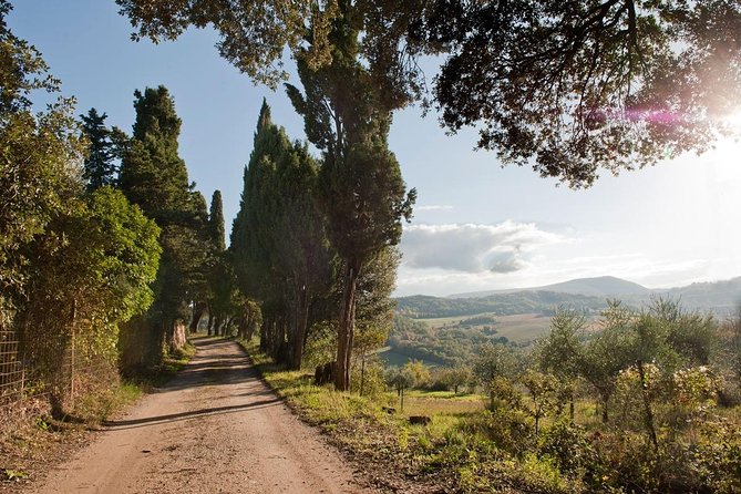 Discover Montepulciano: Cinta Senese Pigs, Lunch & wine in a Farm - Who should book this Montepulciano farm visit?