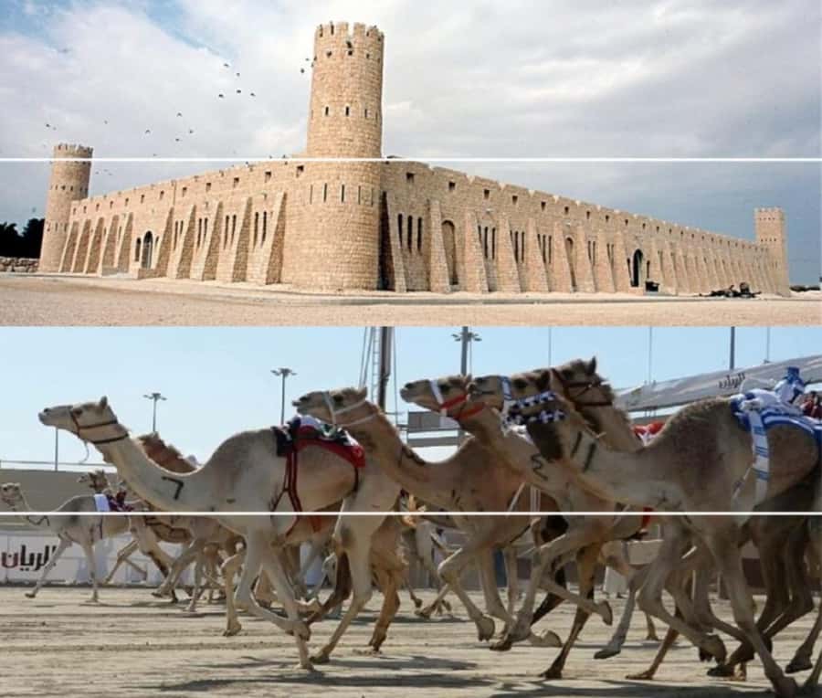Doha Camel Racing Track: Oryx Farm & Sheikh Faisal Museum. - Al Shahaniya Camel Racetrack: tradition with a modern twist