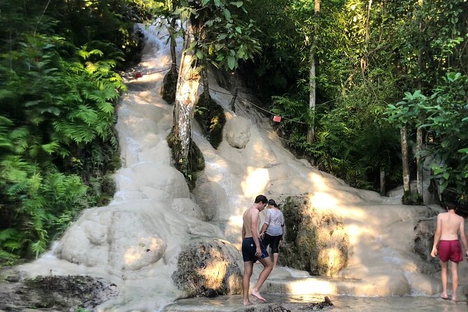 Doi Suthep Temple, Pha Lat Temple, Sticky Waterfall, Orchid farm - The orchid farm slows the middle of the day