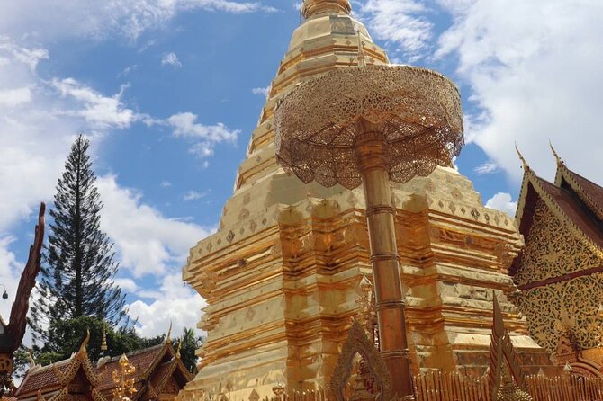 Doi Suthep Temple, Pha Lat Temple, Sticky Waterfall, Orchid farm - Who will get the most from this tour