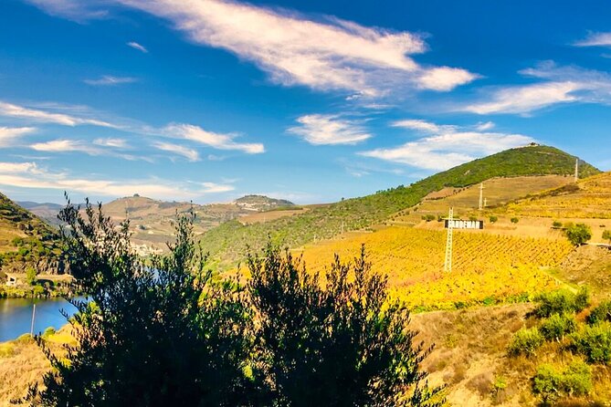 Douro Valley Private Tour: 2 Farms, Lunch & Boat Trip - Key points before you book