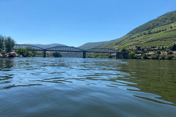 Douro Valley Private Tour: 2 Farms, Lunch & Boat Trip - Guides are central to the value