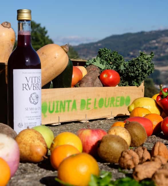 Douro Valley: Traditional Cooking Class, Farm Tour and Lunch - Walking the Farm and Harvesting Ingredients