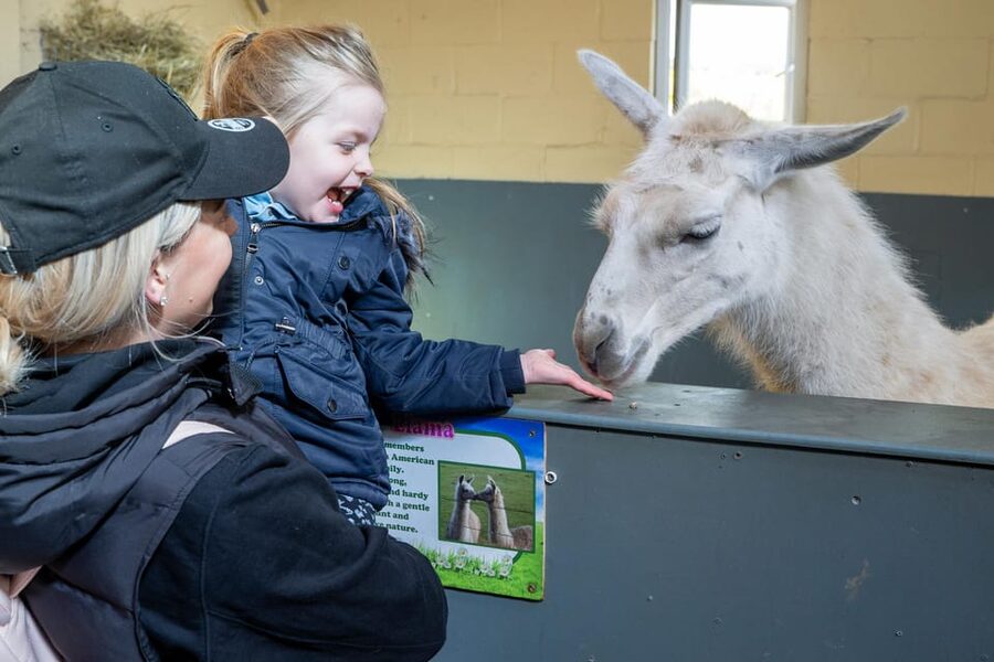 Durham: Adventure Valley Farm Park Entry Ticket - What a full day at Adventure Valley feels like