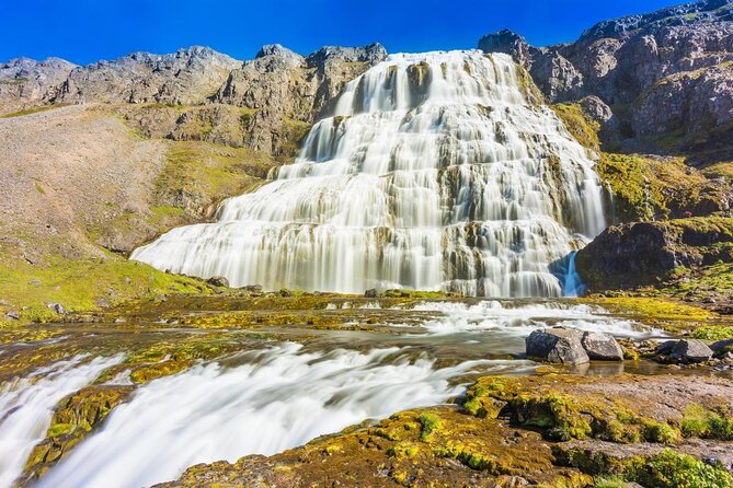 Dynjandi Waterfall & Iceland Farm Visit Tour - Who will enjoy this outing most