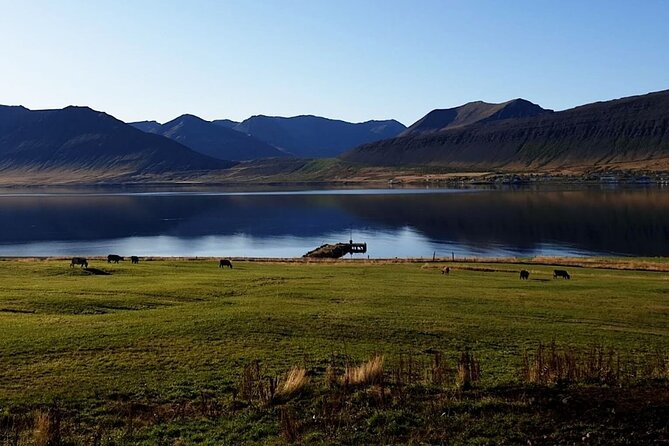 Dynjandi Waterfall & Iceland Farm Visit Tour - Small details that improve the day