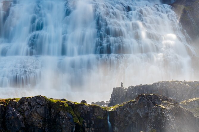 Dynjandi Waterfall & Iceland Farm Visit Tour - Gemlufell Farm near Þingeyri