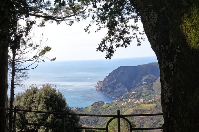 E-Bike Tour in Cinque Terre with Aperitif in Farmhouse - Why this ride offers a different Cinque Terre view