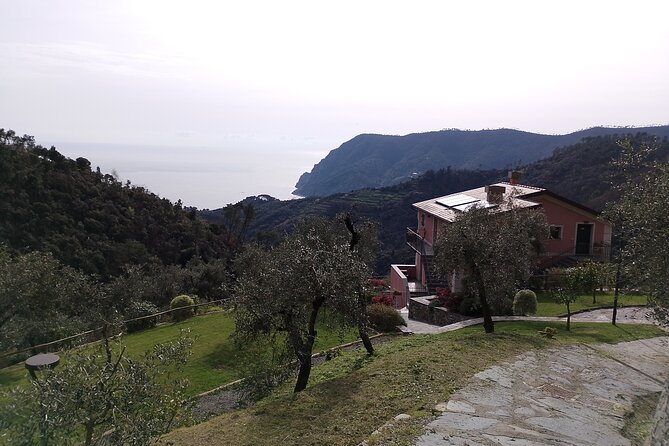 E-Bike Tour in Cinque Terre with Aperitif in Farmhouse - Is $104.76 a fair price?
