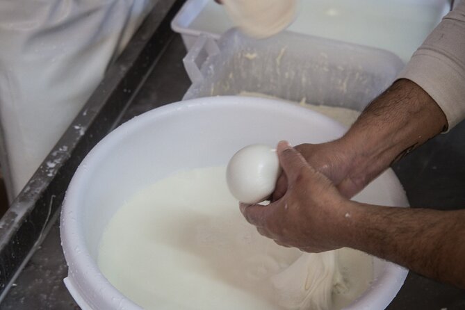 E-bike tour Martina Franca e Locorotondo and visit a dairy - Choosing the right bike and calculating the real price