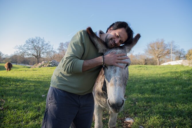 E-bike Tour to Alberobello with Visit to a Donkey Farm - The stories behind the World Heritage village