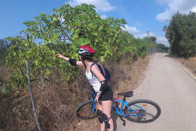 e-MTB Tour - Durrells Farm & Crab Lake [30Km - 18Mi] - Leaving Town for the Poulades Countryside