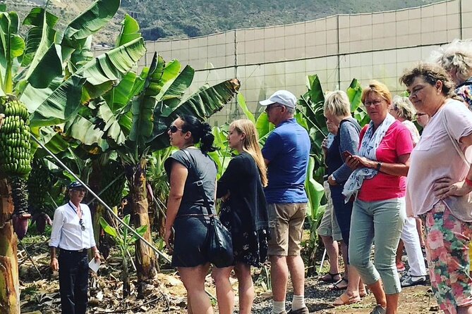 Eco banana farm Tour - Why this farm visit is worth your time