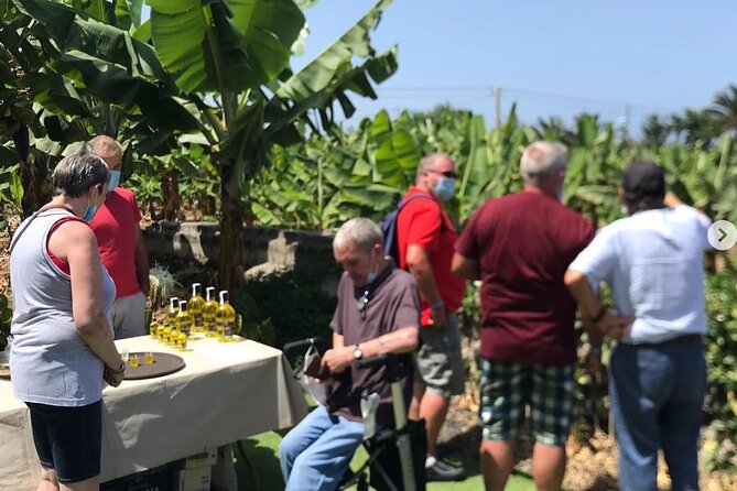 Eco banana farm Tour - The banana tasting and local liqueur