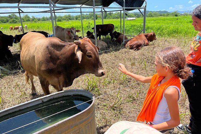 Eco Friendly Farming Tour to Explore Dorado's Most Beautiful Farm - Key details before you go