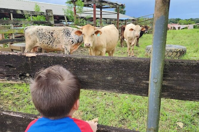 Eco Friendly Farming Tour to Explore Dorado's Most Beautiful Farm - The farm shop is more than a quick exit