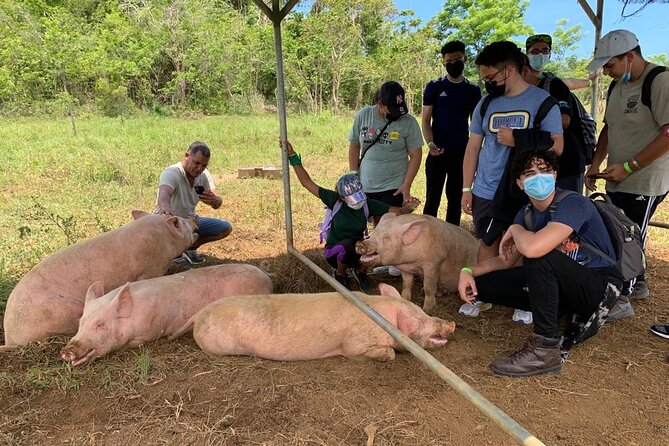 Eco Friendly Farming Tour to Explore Dorado's Most Beautiful Farm - The real conditions: mud, sun, and uneven paths