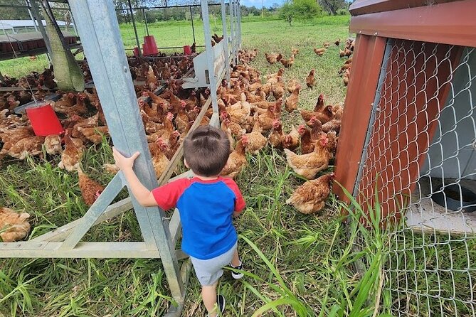Eco Friendly Farming Tour to Explore Dorado's Most Beautiful Farm - What the regenerative farming message means for you