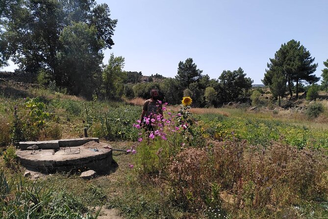Ecotourism: Organic Farm & Animal Tour near Serra da Estrela - Starting With Horses, Goats, and Other Farm Animals